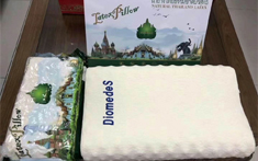 D牌純進口乳膠枕頭